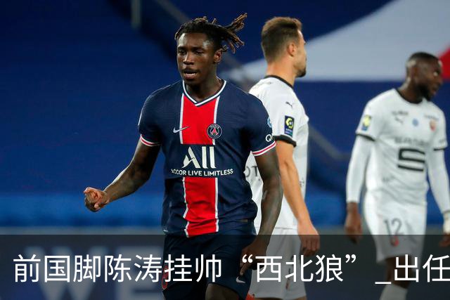 前国脚陈涛挂帅“西北狼” 出任陕西联合一线队主教练